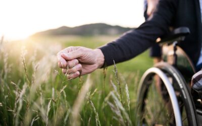 Financial planning for a family member with a disability