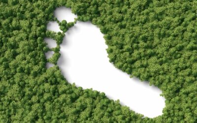 What is your carbon footprint?